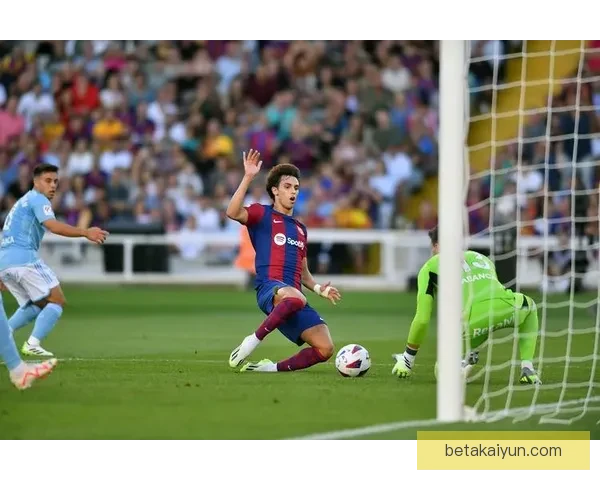 坎塞洛足球影响力