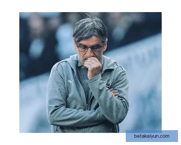 英超南安普顿伤病潮加剧，队伍竞争力受到影响