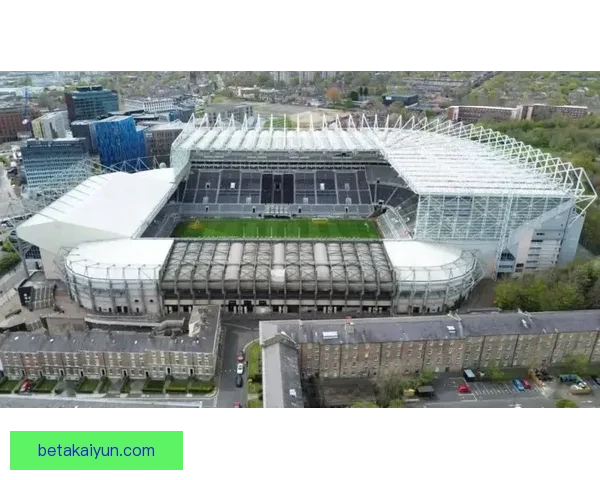 纽卡斯尔球迷抗议俱乐部运营现状